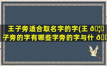 王子旁适合取名字的字(王 🦁 子旁的字有哪些字旁的字与什 🌷 么有关)